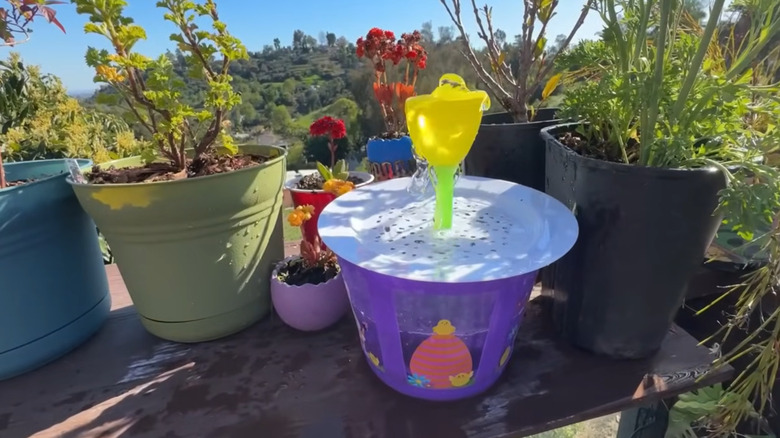 DIY Easter basket bird fountain