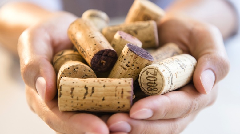 Woman's cupped hands filled with old wine corks