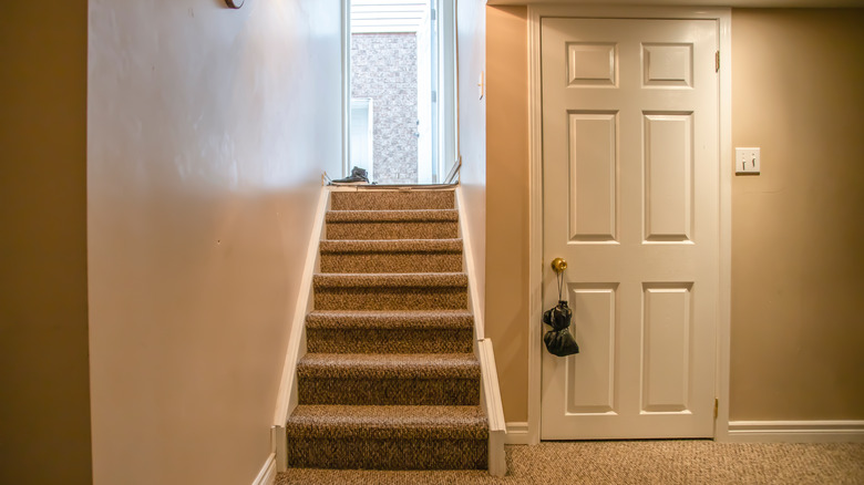 Carpeted stairs leading to basement