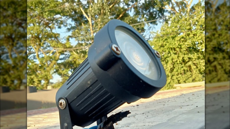 Outdoor black spotlight pointed upwards