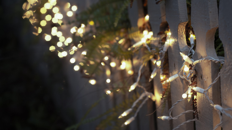 white lights strung along the fence