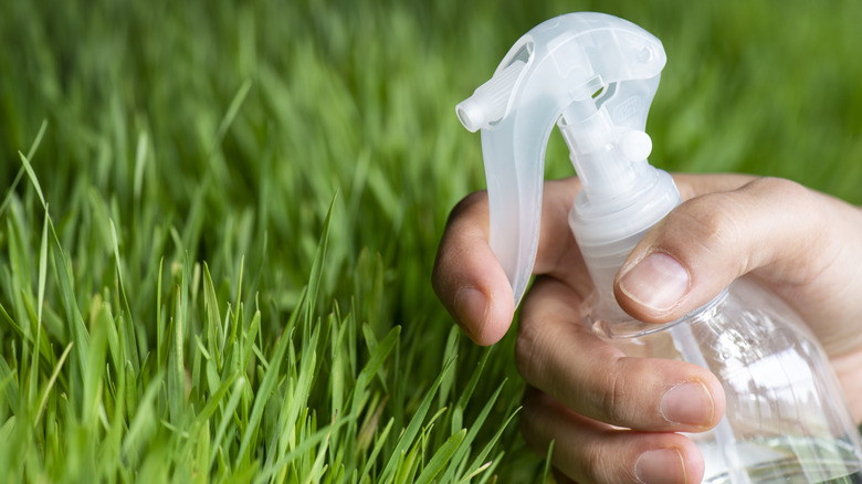 hand with spray bottle spraying grass