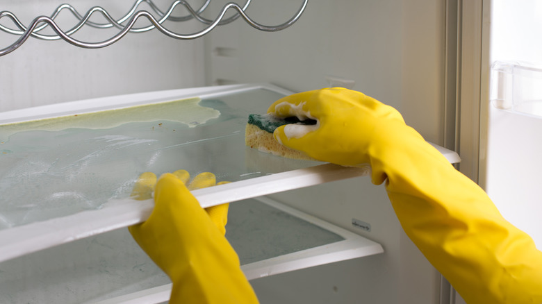 Person cleaning fridge with sponge