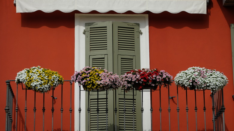 Overflowing flower baskets