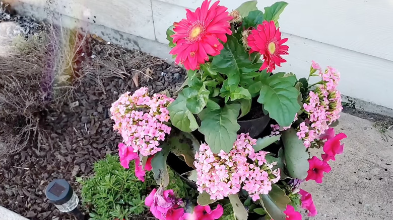 Layered planter