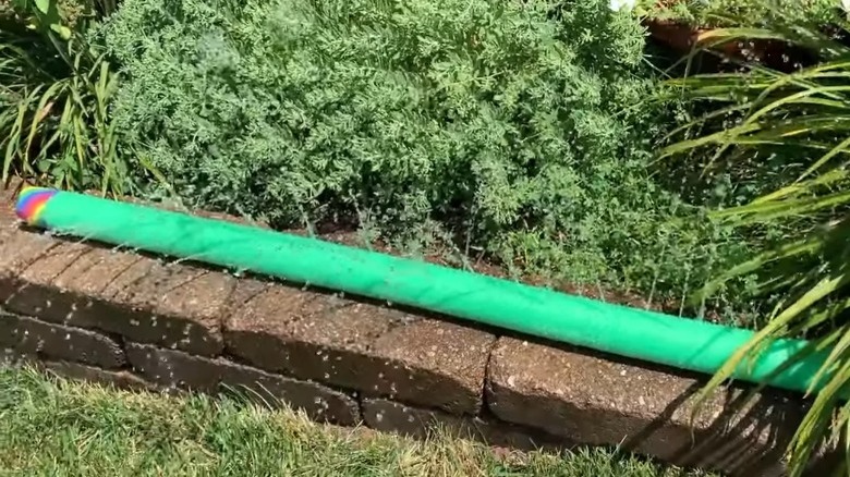 diy green pool noodle sprinkler