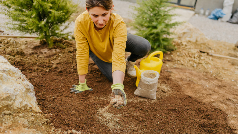 A woman is planting grass on her lawn