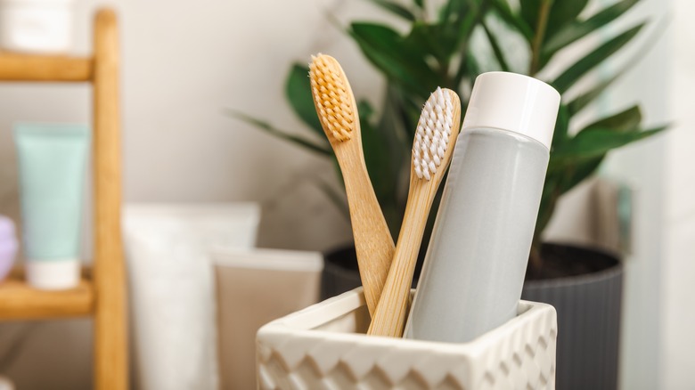 closeup of toothbrushes and toothpaste