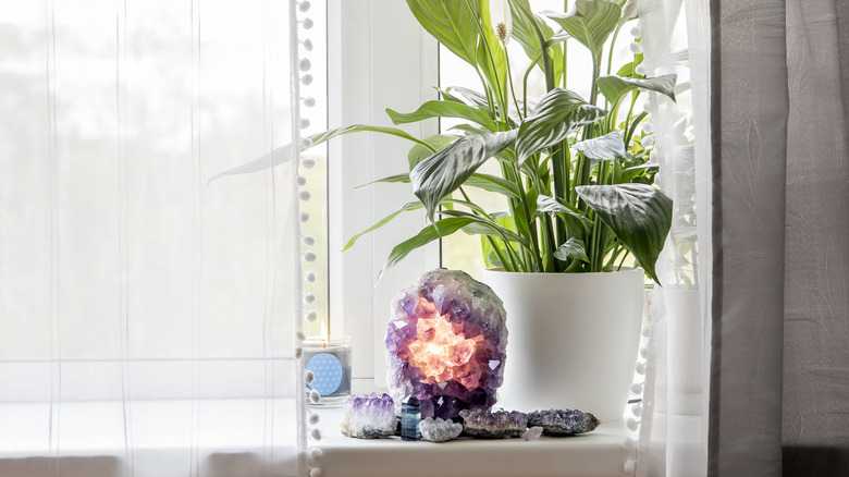 crystals and plant in window
