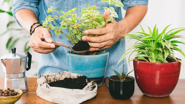 Use Coffee Grounds To Clean Your Pots And Pans