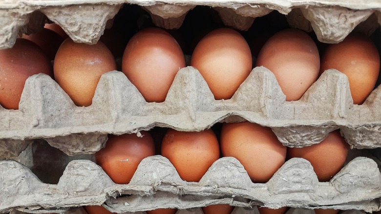 egg cartons with eggs