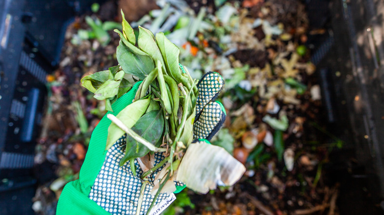 Hand holding leaves for compost