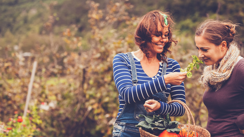 two women collecting leaves