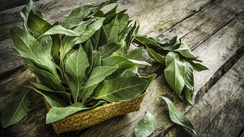 basket of bay leaves