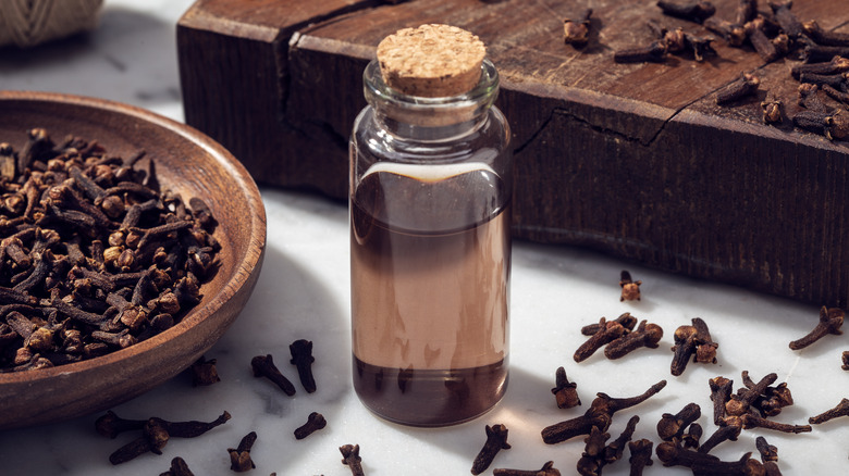 cloves and clove oil