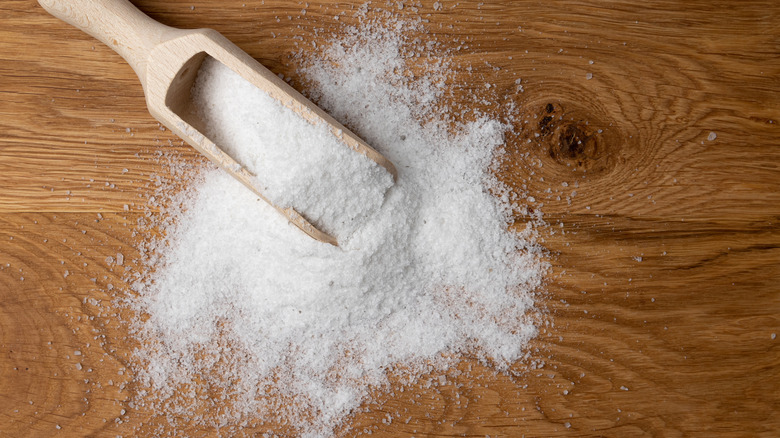 scoop of salt on countertop