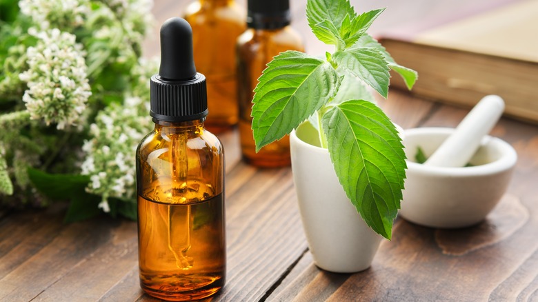 mint essential oils