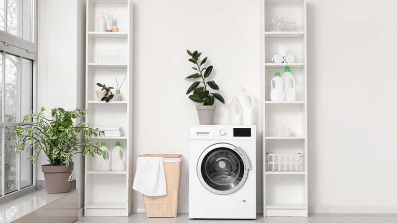 Laundry room with shelves