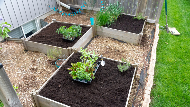 Raised beds with easy accessibility