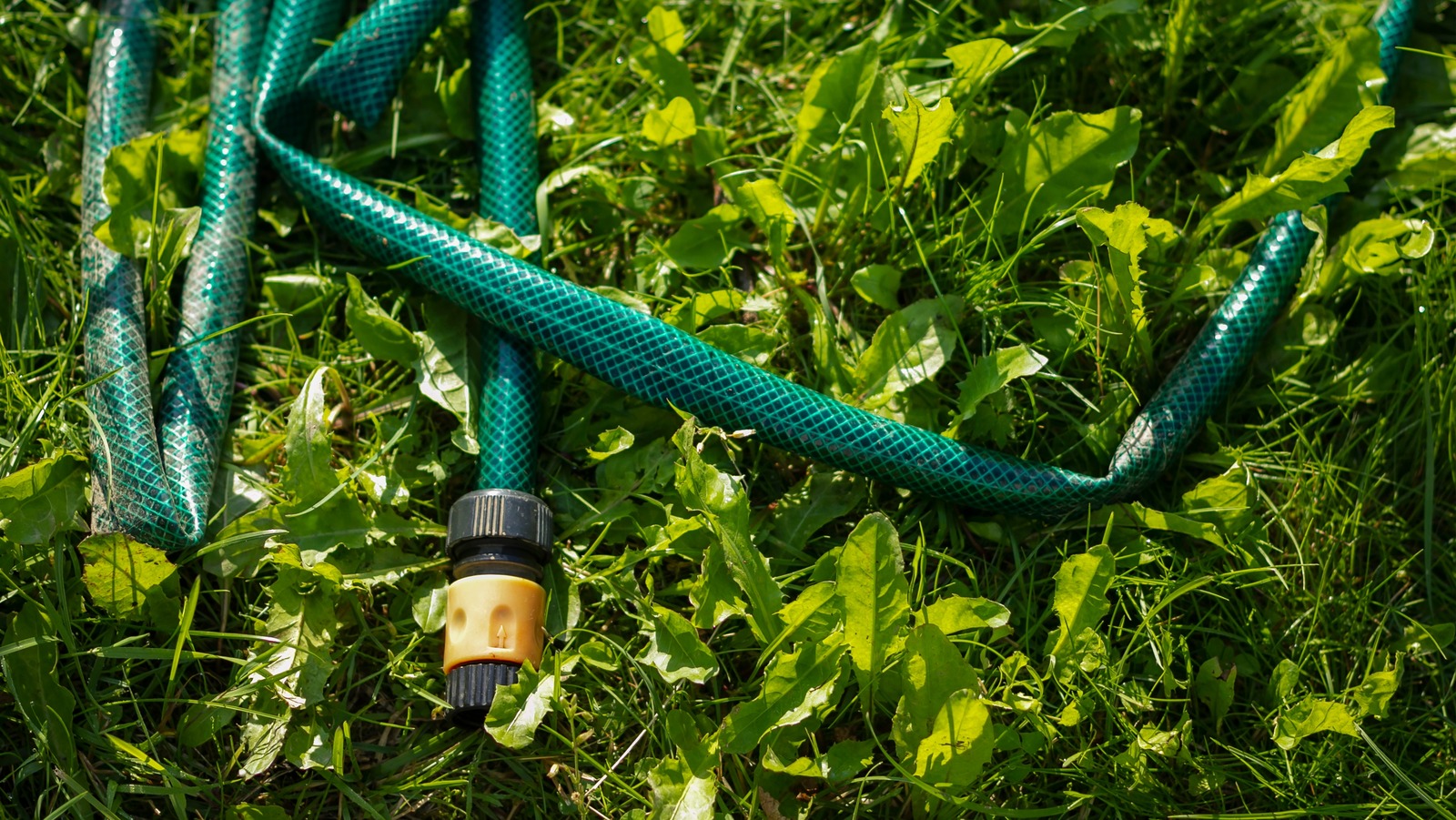 Use This Clever Pool Noodle Hack To Prevent Kinks In Your Garden Hose