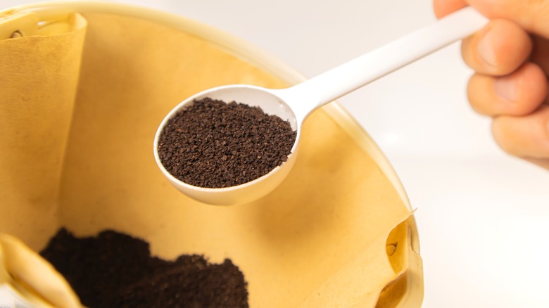 person adding coffee grounds to filter