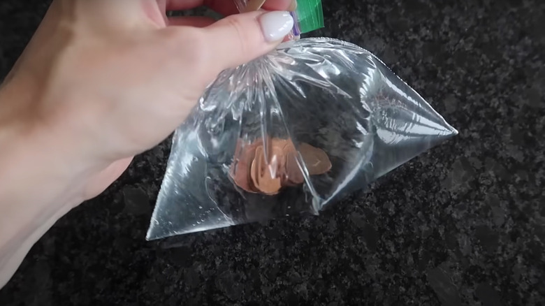 Pennies and water in bag