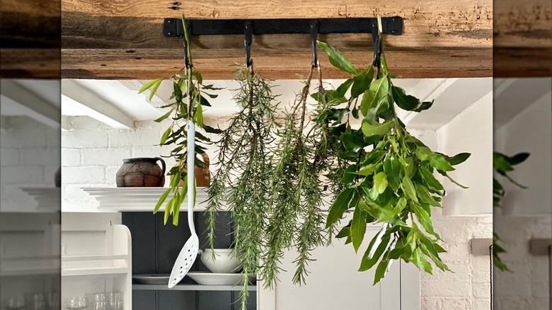 herbs drying on mounted bar