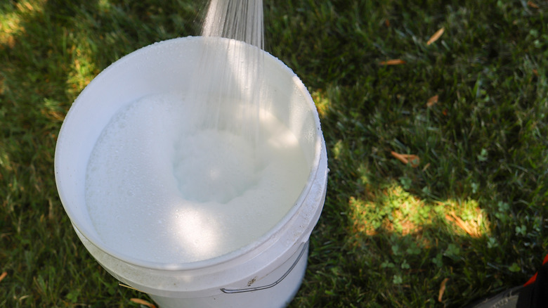 Bucket of soapy water