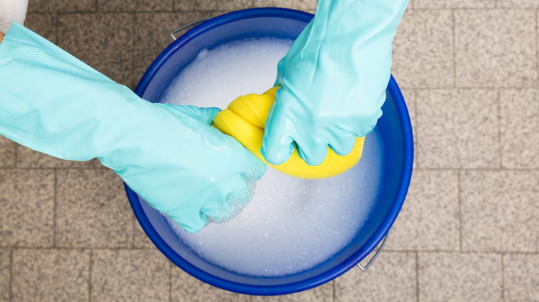 Person squeezing sponge in bucket