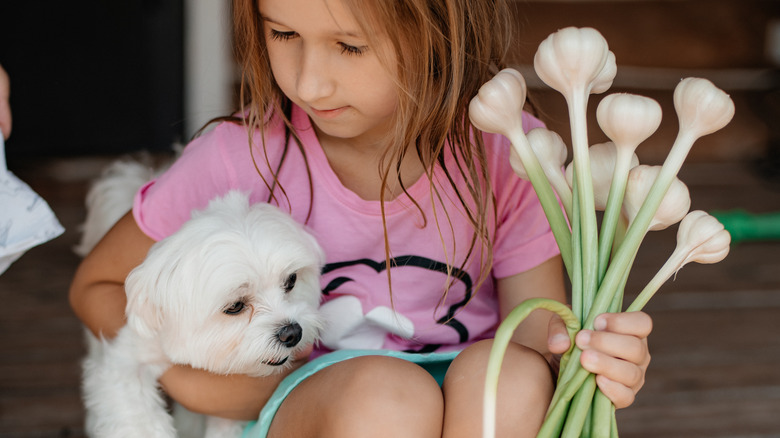 girl with dog holding garlic