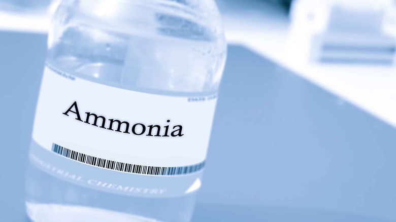 Bottle of ammonia
