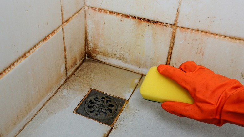 person wiping tile grout lines