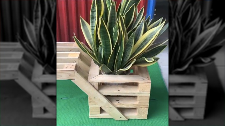 pallet wood planter