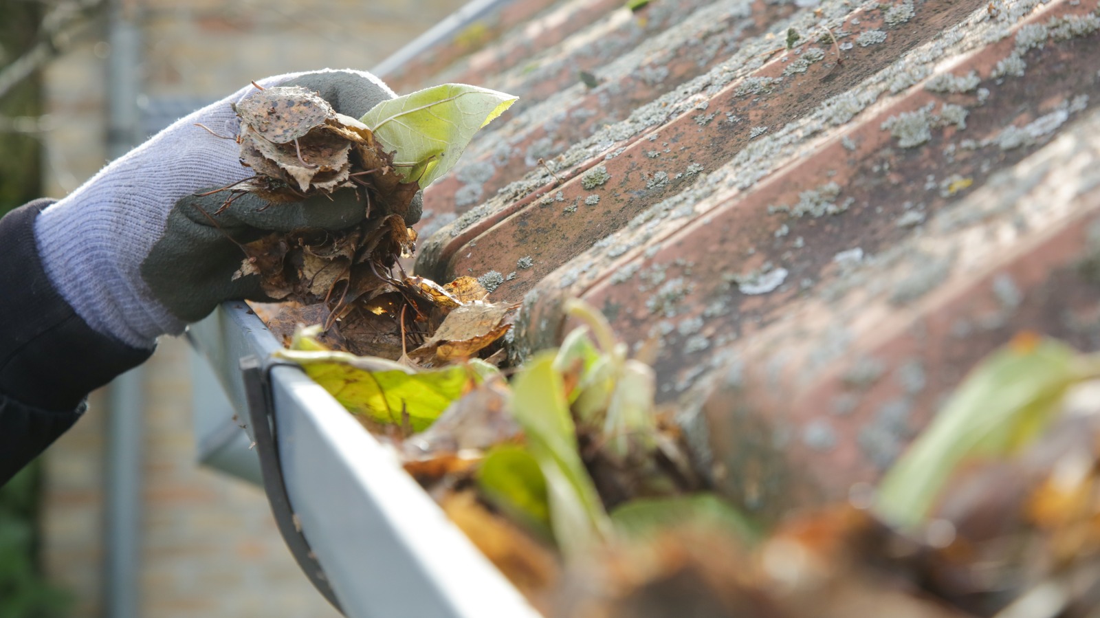 Use Your Leaf Blower For Some Rain Gutter Maintenance This Fall