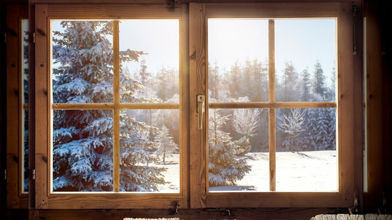 window and snowy landscape