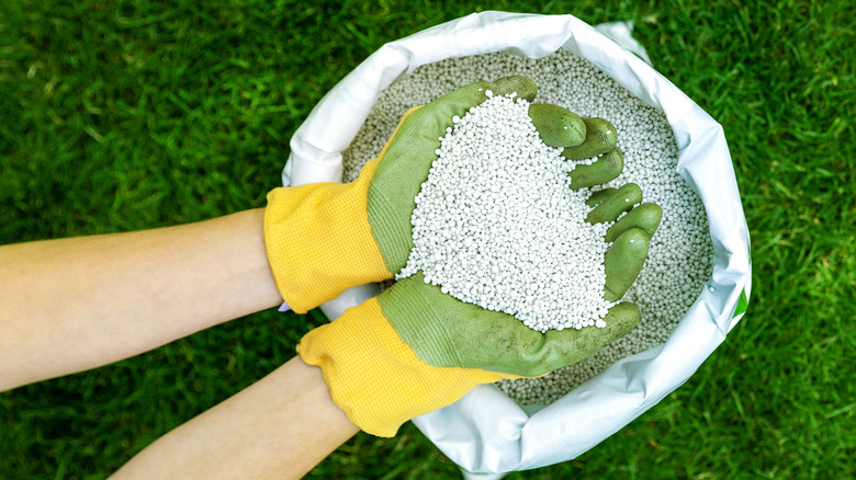 hands holding fertilizer