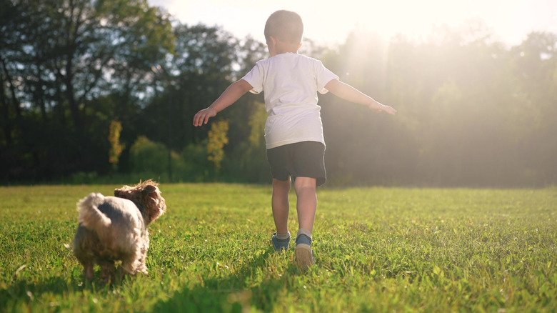 A child and a dog running together on a lawn