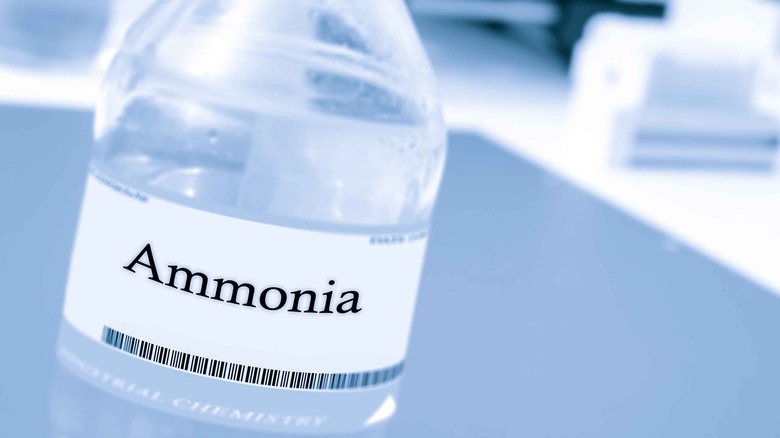 Ammonia bottle