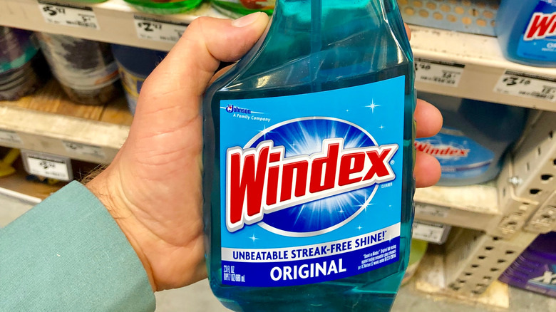 hand holding bottle of windex