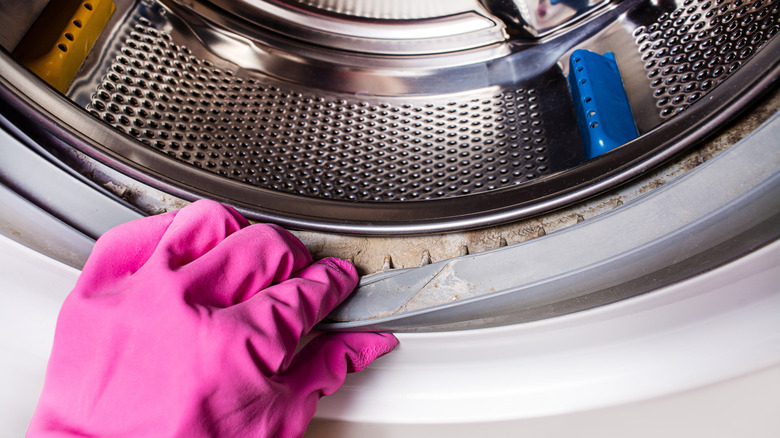 Mold damage in rubber gasket of washing machine.