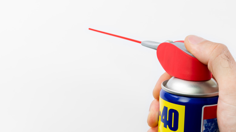 Hand holds WD-40 can