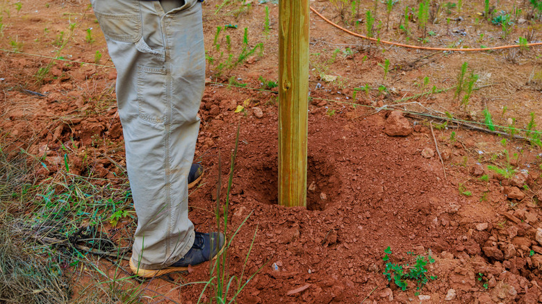 Person installing wooden fence post