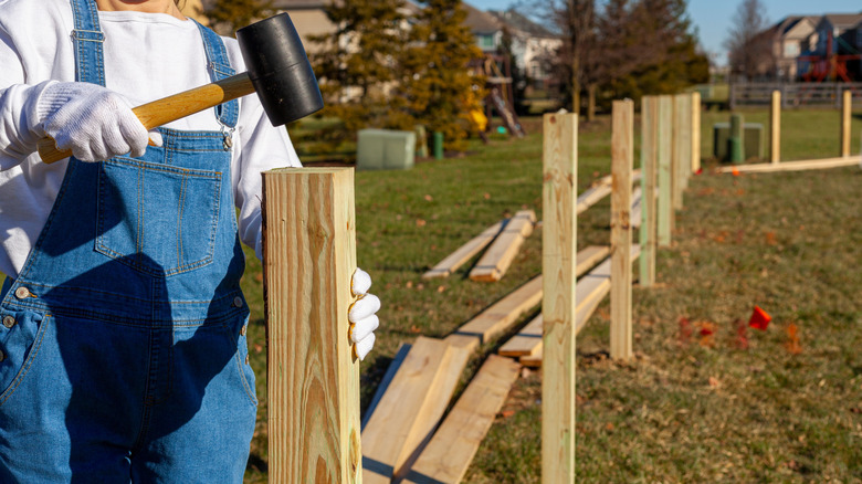 Woman installing wooden fence posts with sledgehammer