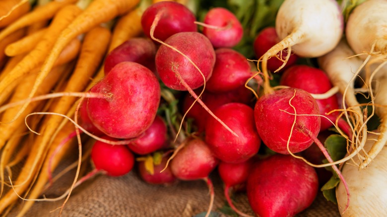 Closeups of radishes, carrots, turnips