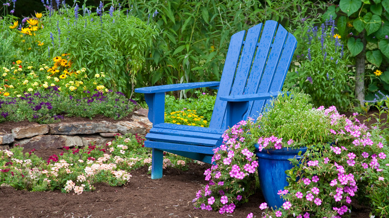 Verbena in garden with chair