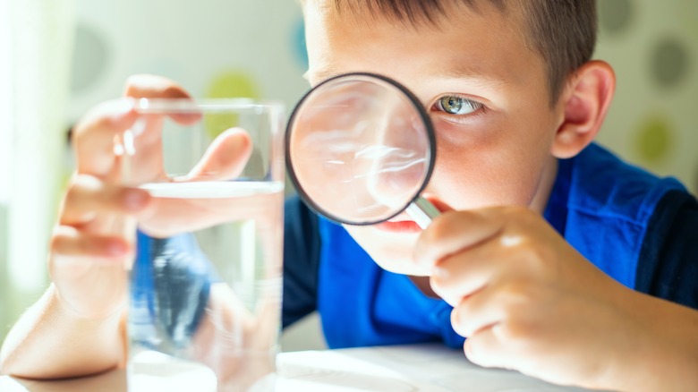 Child observing glass of water