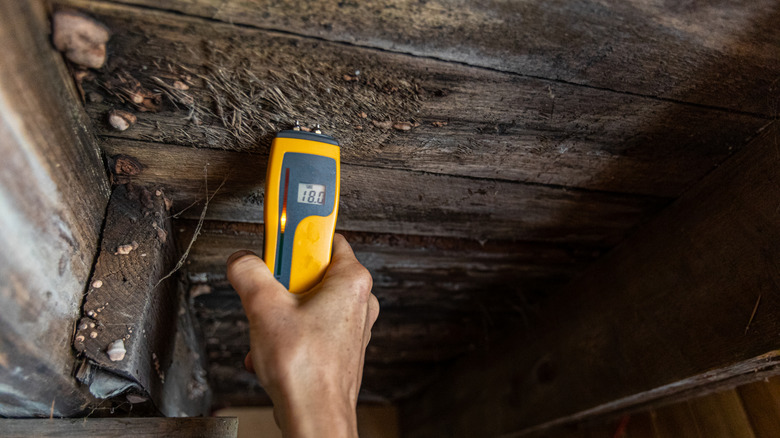 Assessing rot with moisture meter