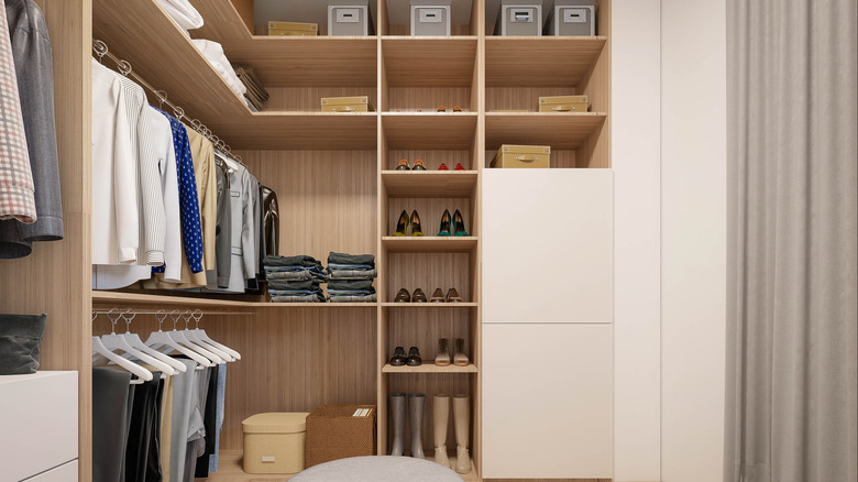 walk-in closet with cabinets