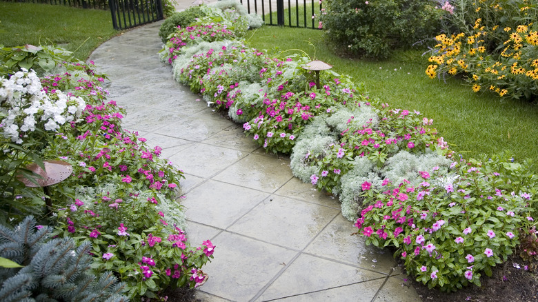 glossy paver walkway in yard