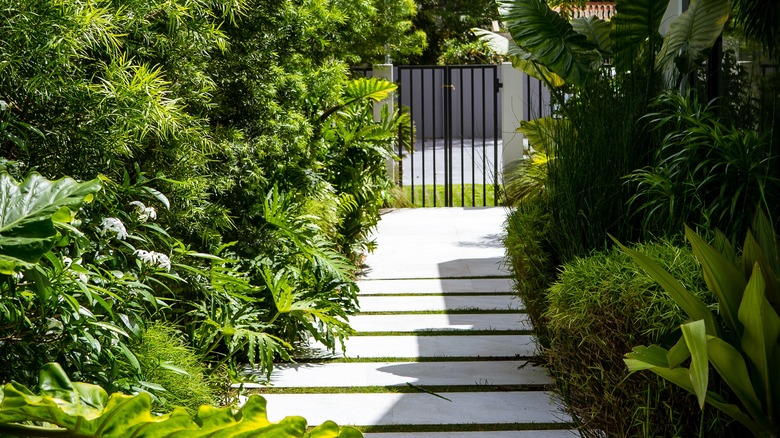 front yard paver pathway